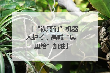 “铁哥们”机器人护考，高喊“奥里给”加油