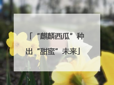 “麒麟西瓜”种出“甜蜜”未来