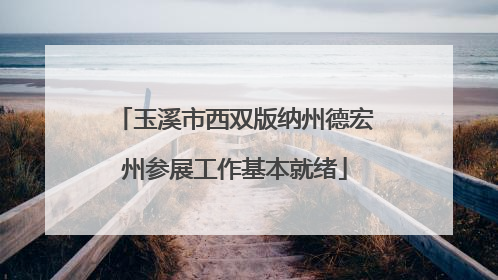 玉溪市西双版纳州德宏州参展工作基本就绪