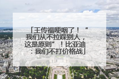 王传福哽咽了！“我们从不拉踩别人，这是原则”！比亚迪：我们不打价格战