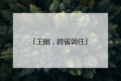 王刚，跨省调任