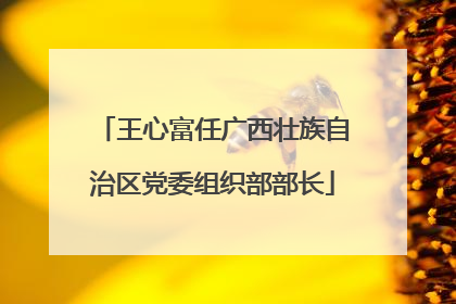王心富任广西壮族自治区党委组织部部长
