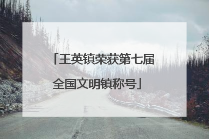 王英镇荣获第七届全国文明镇称号