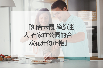 灿若云霞 旖旎迷人 石家庄公园的合欢花开得正艳