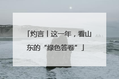灼言丨这一年，看山东的“绿色答卷”