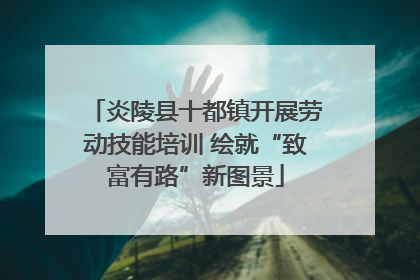 炎陵县十都镇开展劳动技能培训 绘就“致富有路”新图景
