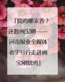烧鸡哪家香？还数画宝刚——河南报业全媒体老字号行走进画宝刚烧鸡