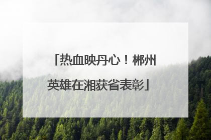 热血映丹心！郴州英雄在湘获省表彰