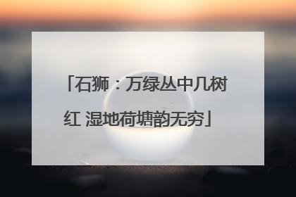 石狮：万绿丛中几树红 湿地荷塘韵无穷