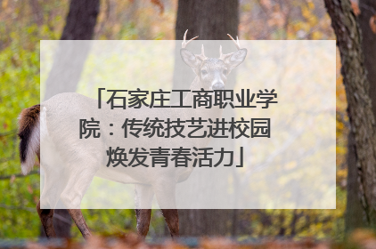 石家庄工商职业学院：传统技艺进校园焕发青春活力