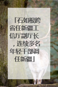 石如根跨省任新疆工信厅副厅长，连续多名年轻干部调任新疆