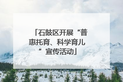 石鼓区开展“普惠托育、科学育儿”宣传活动