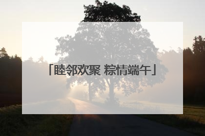 睦邻欢聚 粽情端午