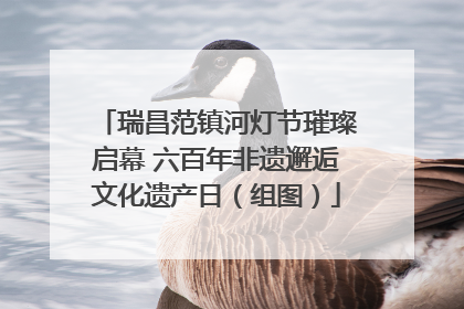 瑞昌范镇河灯节璀璨启幕 六百年非遗邂逅文化遗产日（组图）