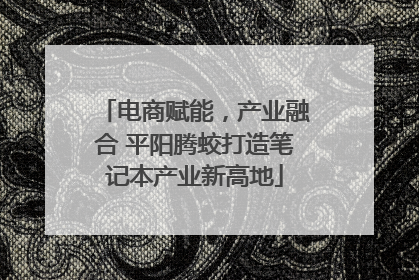 电商赋能，产业融合 平阳腾蛟打造笔记本产业新高地