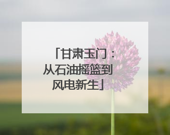 甘肃玉门：从石油摇篮到风电新生