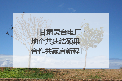 甘肃灵台电厂：地企共建结硕果 合作共赢启新程