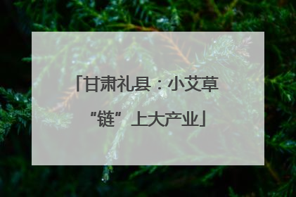 甘肃礼县：小艾草“链”上大产业