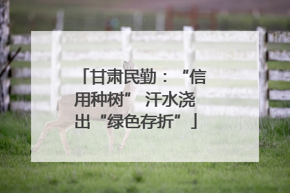 甘肃民勤：“信用种树” 汗水浇出“绿色存折”