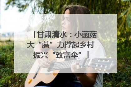 甘肃清水：小菌菇大“蘑”力撑起乡村振兴“致富伞”
