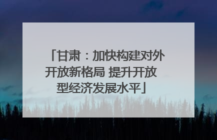 甘肃：加快构建对外开放新格局 提升开放型经济发展水平