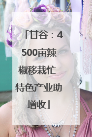 甘谷：4500亩辣椒移栽忙 特色产业助增收