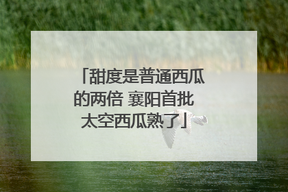 甜度是普通西瓜的两倍 襄阳首批太空西瓜熟了