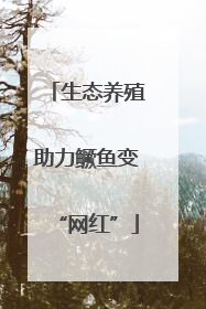 生态养殖助力鳜鱼变“网红”