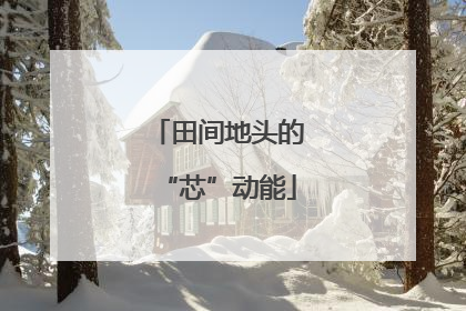 田间地头的“芯”动能