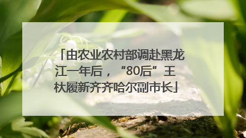 由农业农村部调赴黑龙江一年后，“80后”王杕履新齐齐哈尔副市长