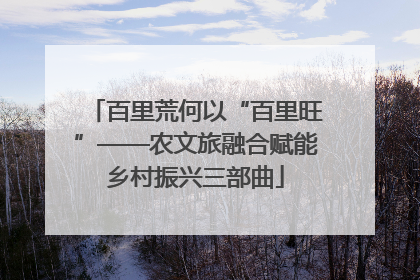 百里荒何以“百里旺”——农文旅融合赋能乡村振兴三部曲