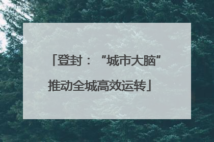 登封：“城市大脑”推动全城高效运转