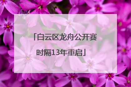 白云区龙舟公开赛时隔13年重启