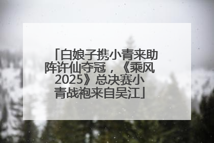 白娘子携小青来助阵许仙夺冠，《乘风2025》总决赛小青战袍来自吴江