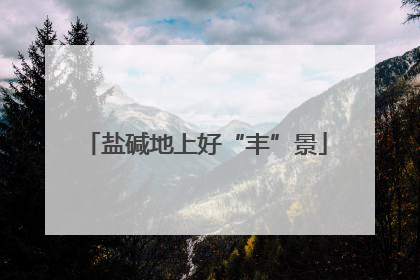 盐碱地上好“丰”景