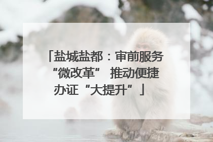 盐城盐都：审前服务“微改革” 推动便捷办证“大提升”