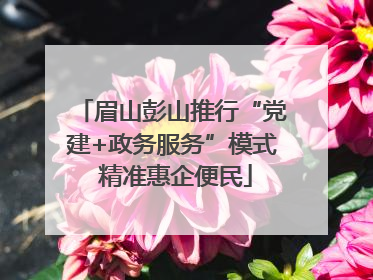 眉山彭山推行“党建+政务服务”模式 精准惠企便民