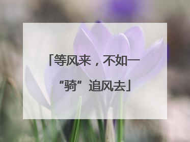 等风来，不如一“骑”追风去