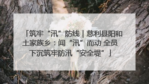 筑牢“汛”防线｜慈利县阳和土家族乡：闻“汛”而动 全员下沉筑牢防汛“安全堤”