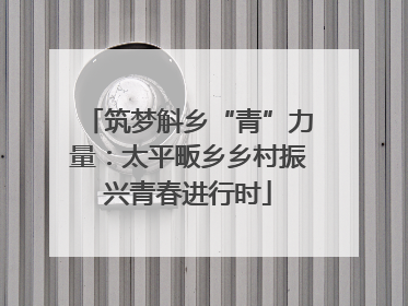 筑梦斛乡“青”力量：太平畈乡乡村振兴青春进行时