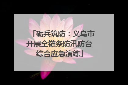砺兵筑防：义乌市开展全链条防汛防台综合应急演练