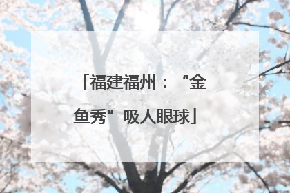 福建福州：“金鱼秀”吸人眼球