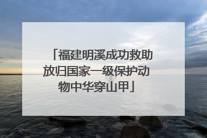 福建明溪成功救助放归国家一级保护动物中华穿山甲