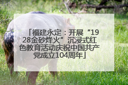 福建永定：开展“1928金砂烽火”沉浸式红色教育活动庆祝中国共产党成立104周年