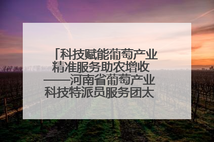 科技赋能葡萄产业 精准服务助农增收——河南省葡萄产业科技特派员服务团太康县科技服务纪实