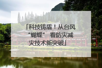 科技铸盾！从台风“蝴蝶” 看防灾减灾技术新突破