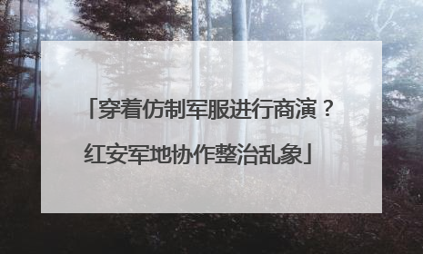 穿着仿制军服进行商演？红安军地协作整治乱象