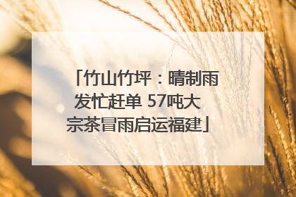 竹山竹坪：晴制雨发忙赶单 57吨大宗茶冒雨启运福建