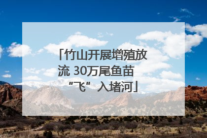 竹山开展增殖放流 30万尾鱼苗“飞”入堵河
