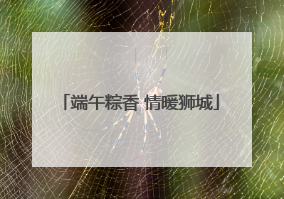 端午粽香 情暖狮城